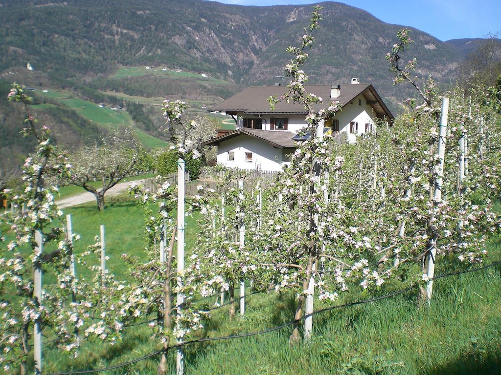 카스텔로토 Schiedhof 빌라 외부 사진